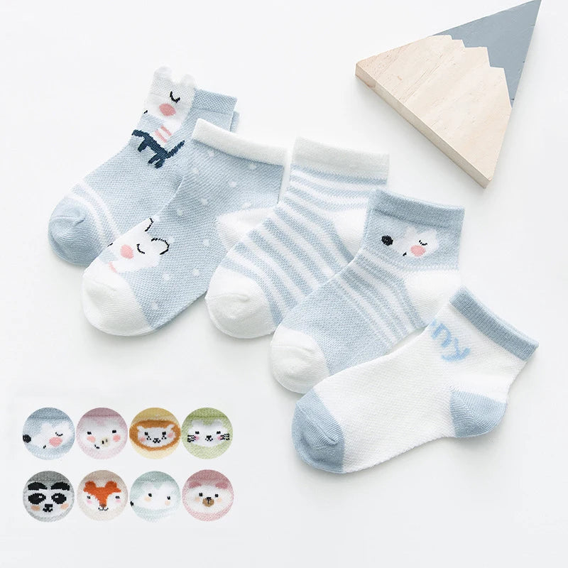 Lot de 5 paires de chaussette