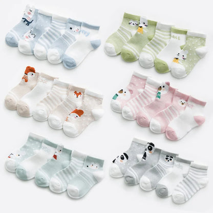 Lot de 5 paires de chaussette
