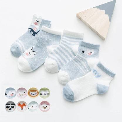 Lot de 5 paires de chaussette