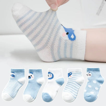 Lot de 5 paires de chaussettes