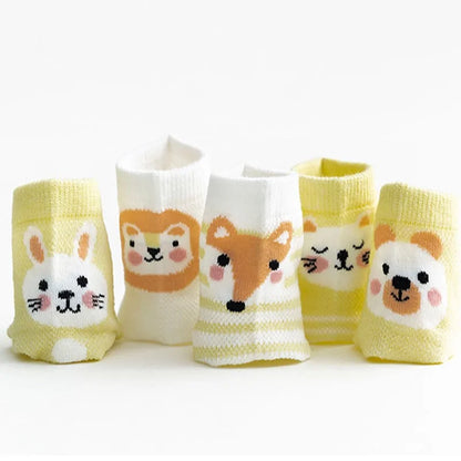 Lot de 5 paires de chaussettes